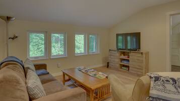 TV, DVD player, video library, stereo