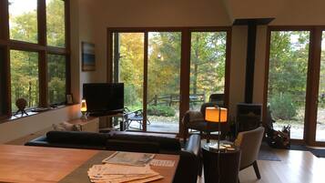 Una Smart TV, una chimenea, un reproductor de DVD, libros