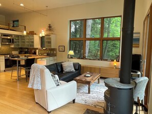 Smart TV, fireplace, DVD player, books