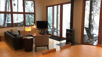 Smart TV, fireplace, DVD player, books