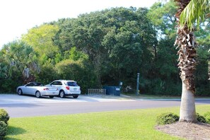 A white car parked on a street with a palm tree and greenery in the background.