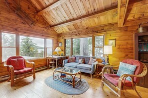 TV, DVD player, books, video library