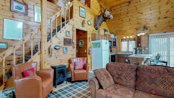 Fernseher, Kamin, DVD-Player, BĂŒcher