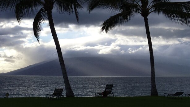 A beach with palm trees and a view of the ocean. - FULL OCEAN VIEW, 2nd Floor 2 BR/1 BA,  BEST STAND-UP PADDLEBOARDING ON MAUI! (Kihei)