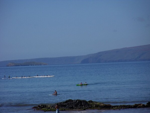 Un paisaje costero con kayaks y un bote a remos en aguas tranquilas, costa rocosa y colinas al fondo.