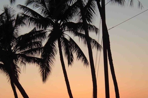 On the beach, sun-loungers, beach towels