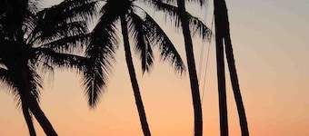 FULL OCEAN VIEW, 2nd Floor 2 BR/1 BA, BEST STAND-UP PADDLEBOARDING ON MAUI!