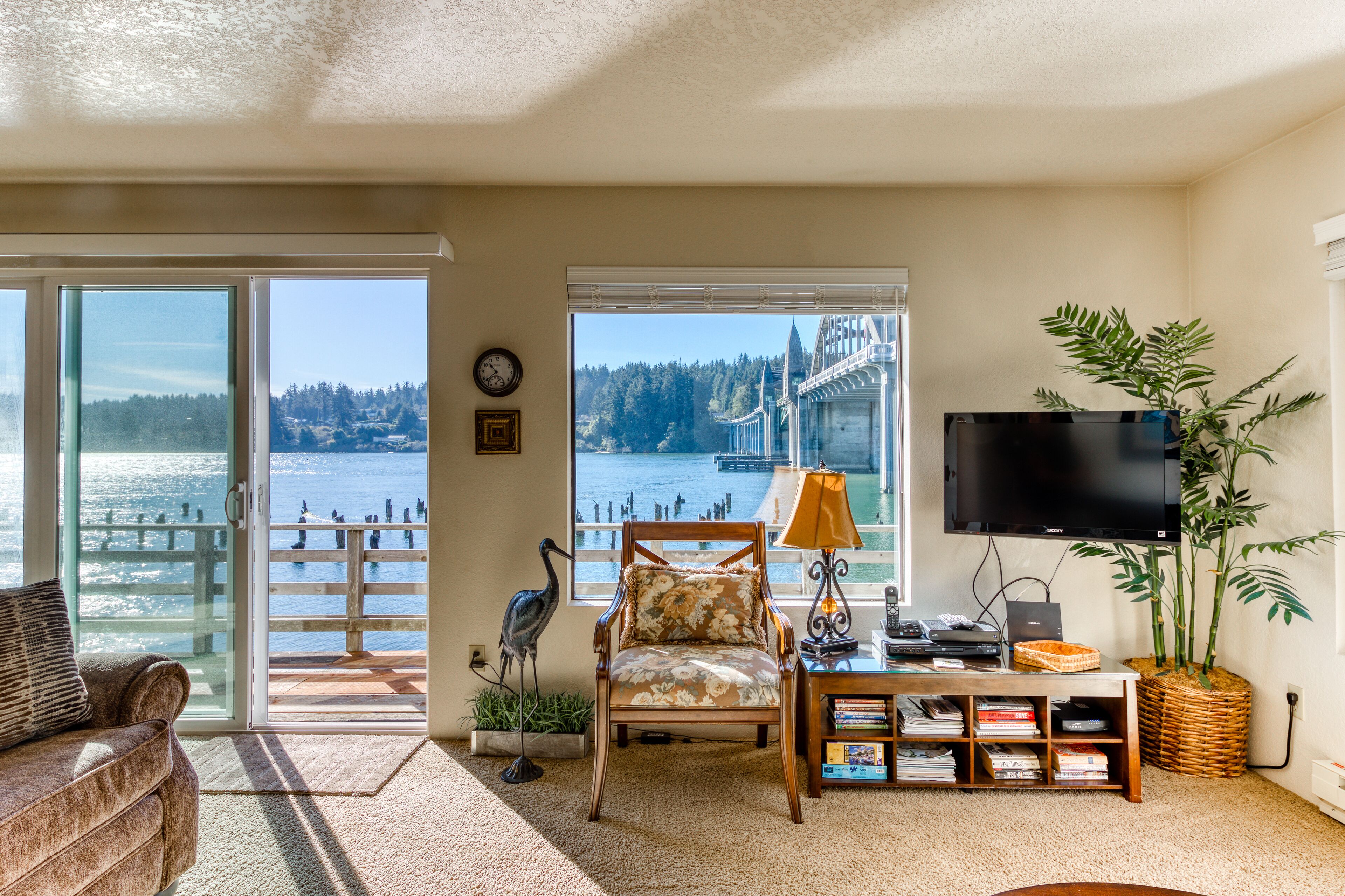 Télévision, lecteur de DVD, livres