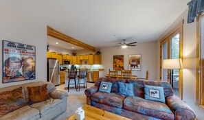 TV, fireplace, DVD player, books