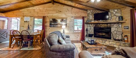 Télévision, cheminée, lecteur de DVD, vidéothÚque