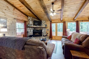 Télévision, cheminée, lecteur de DVD, vidéothèque