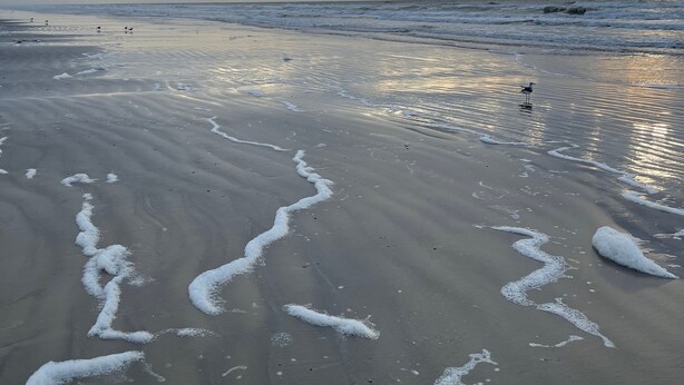 A beach with sand and waves, under a cloudy sky.