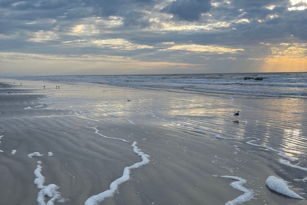 Beautiful beach near house