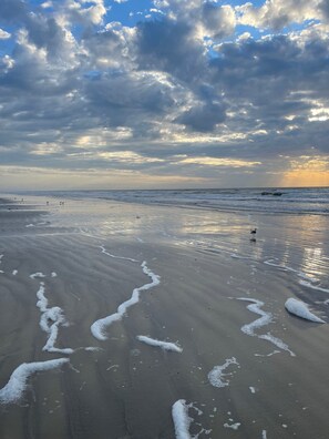 Accommodatie ligt op het strand, ligstoelen, strandlakens
