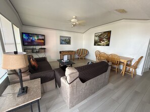 Smart TV, DVD player, books, video library
