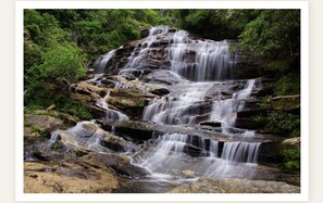 A multi-tiered waterfall surrounded by dense greenery.