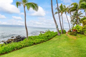 Property grounds - Renovated oceanfront getaway w/ great views, shared pool, & tropical vibes (Lahaina)