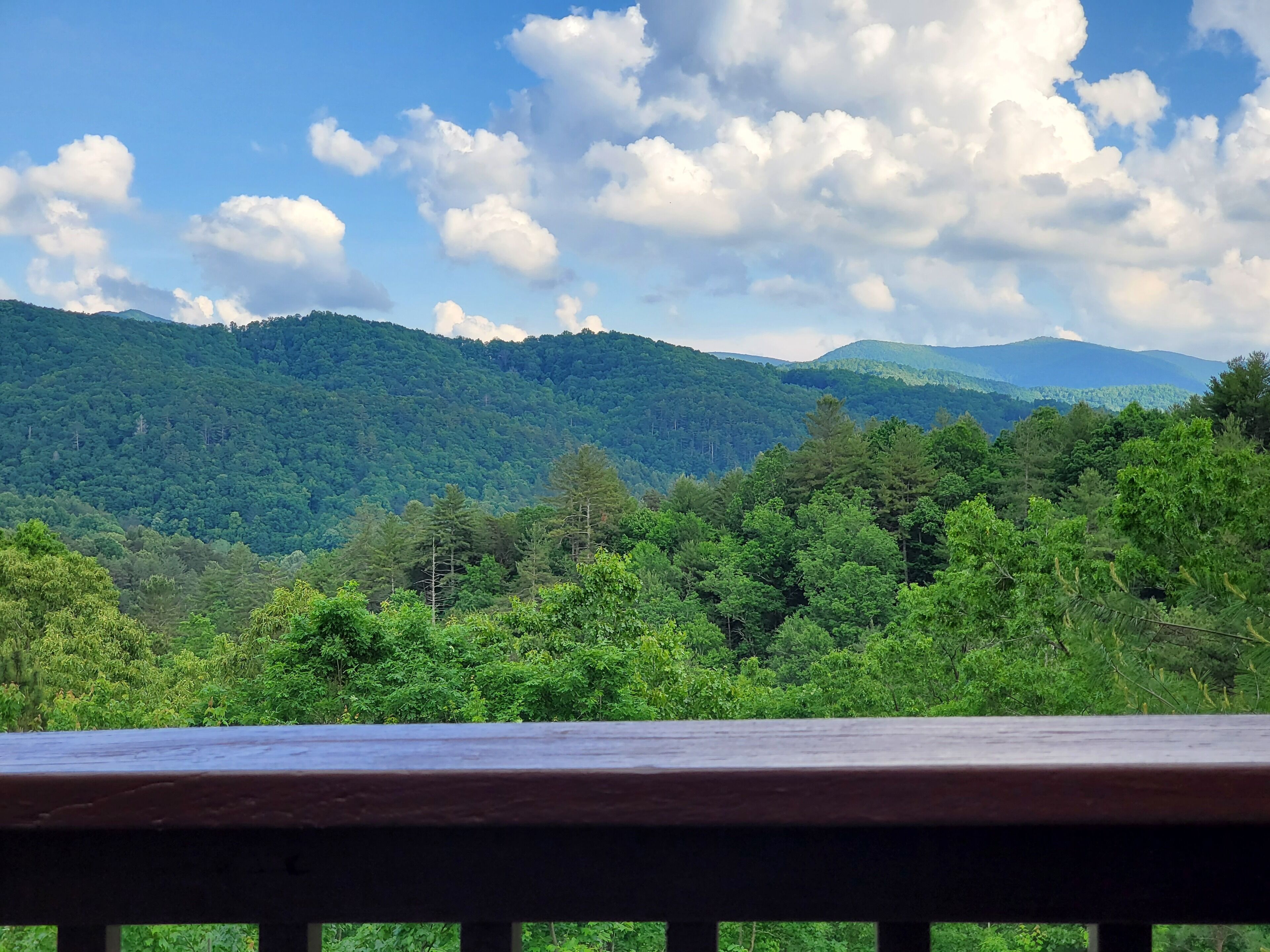 View from the bedroom 