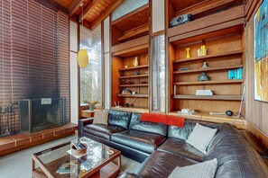 TV, fireplace, books