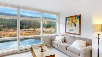TV, fireplace, DVD player, books
