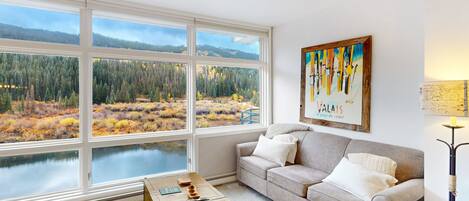 TV, fireplace, DVD player, books