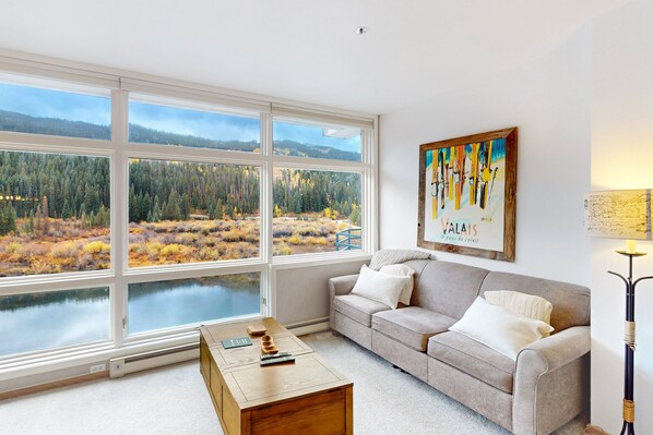 Televisión, chimenea, reproductor de DVD y libros 