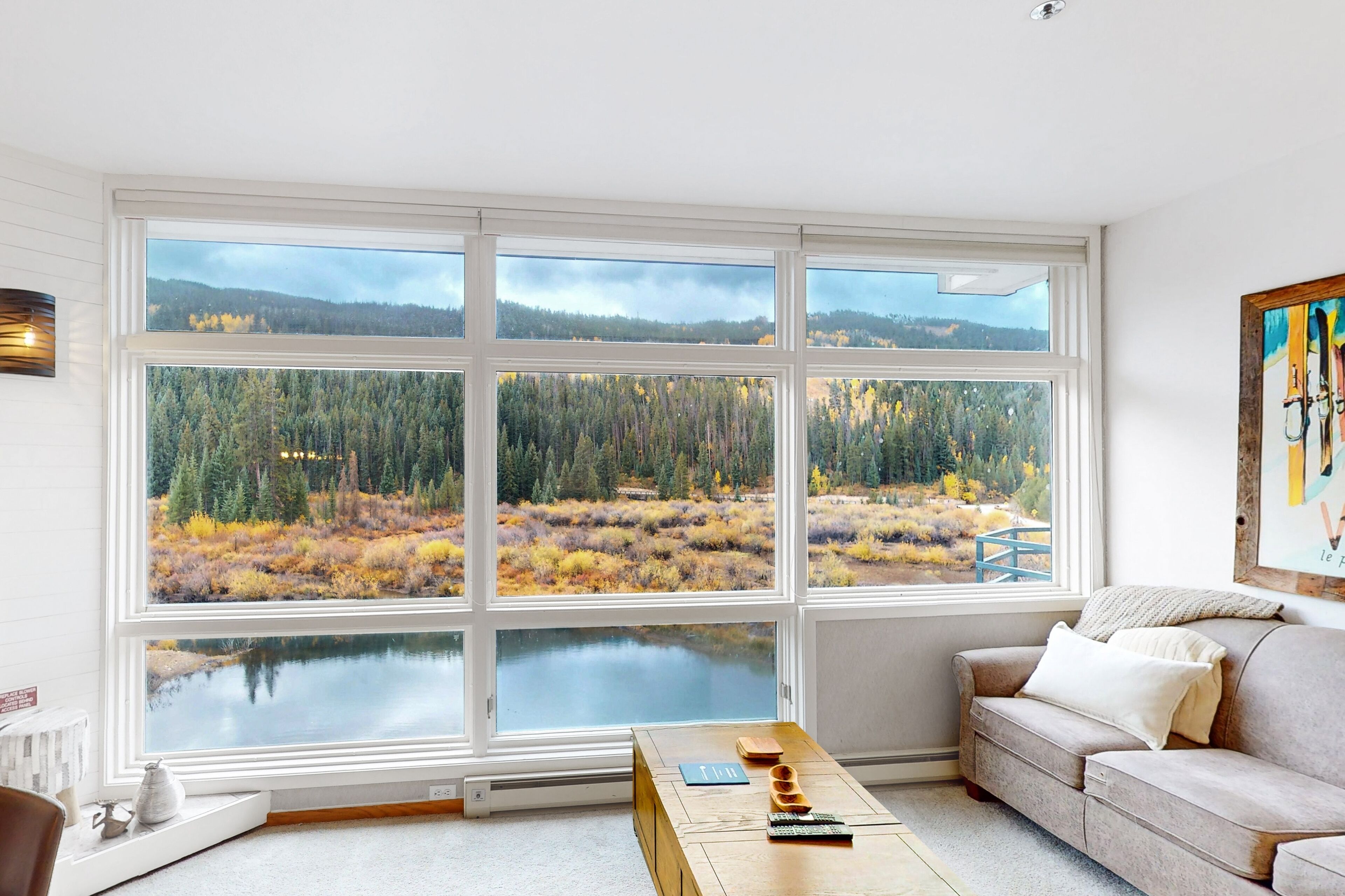 Fernseher, Kamin, DVD-Player, Bücher