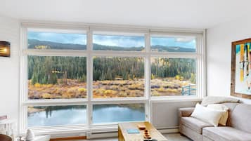 Televisión, chimenea, reproductor de DVD, libros