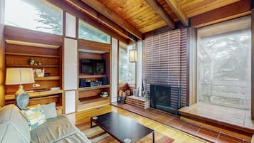 TV, fireplace, books