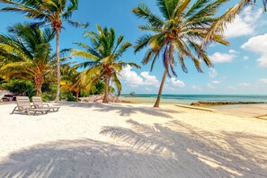On the beach - Romantic beachfront getaway with ocean views, pool, WiFi & partial AC (San Pedro)