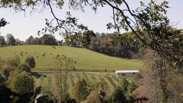 Un paysage rural avec un champ délimité par une clôture, un bâtiment blanc et des arbres.