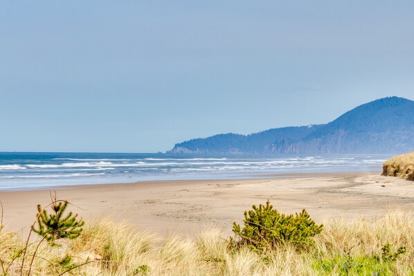 Enjoy the serene coastal landscape with gentle waves and lush vegetation.