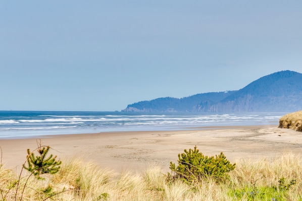 Enjoy the serene coastal landscape with gentle waves and lush vegetation.