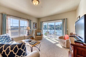 电视、壁炉、DVD 播放器、书