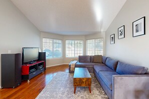 Télévision, cheminée, jeux vidéo, lecteur de DVD