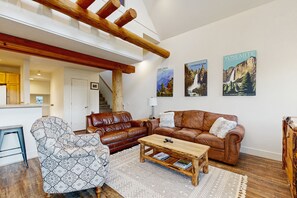 TV, fireplace, DVD player