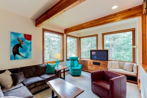 TV, DVD player, books, video library - Beautiful house with custom touches, quiet location, & lovely views (Girdwood)