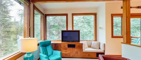 TV, DVD player, books, video library