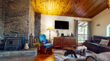 TV, fireplace, DVD player, video library