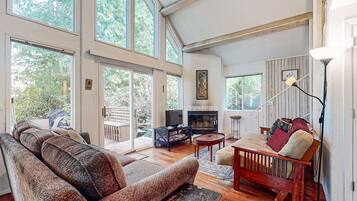 Una televisión, una chimenea, un reproductor de DVD, libros