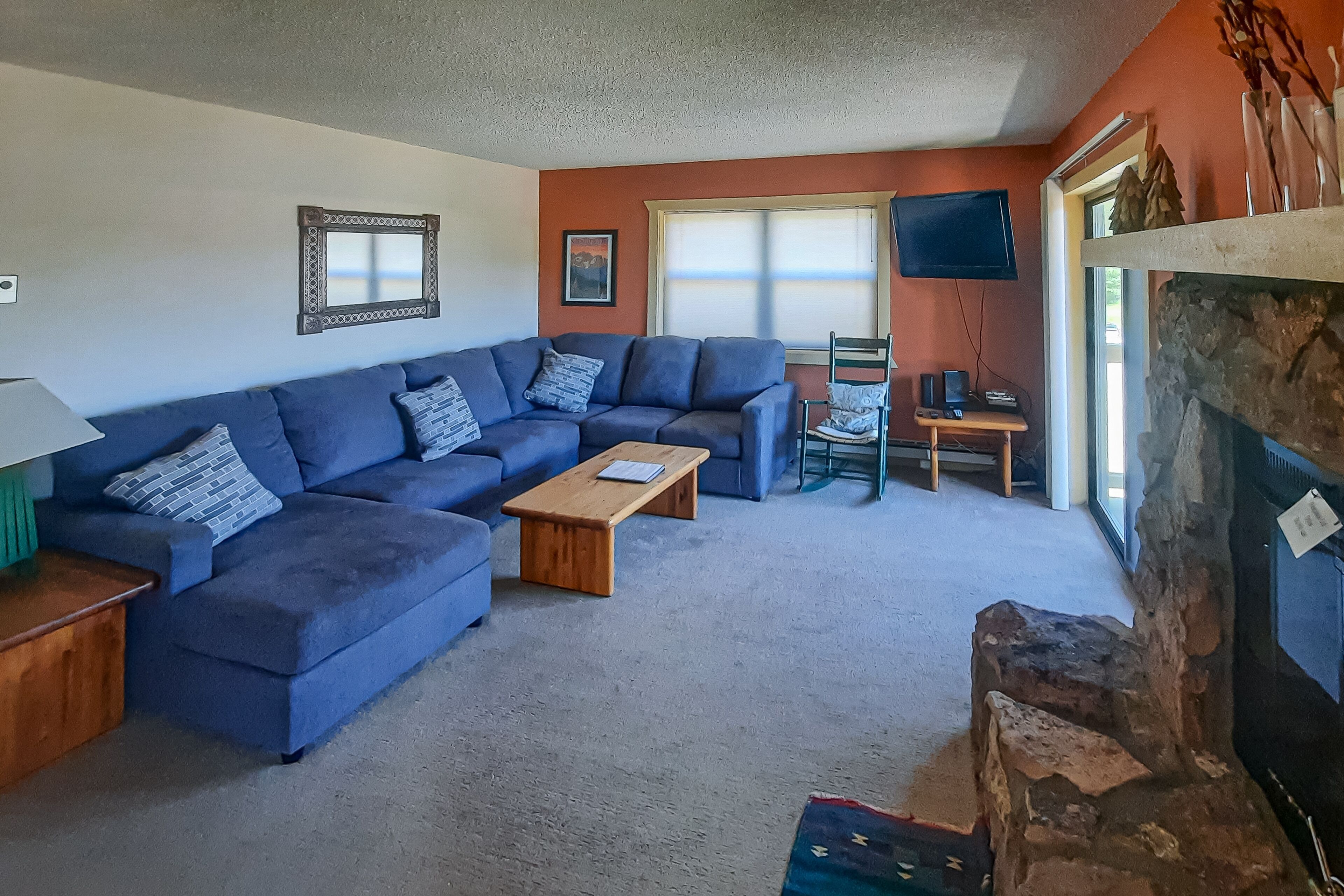 电视、DVD 播放器