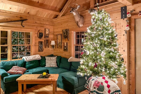 Tv, dvd-afspiller, bøger, videobibliotek