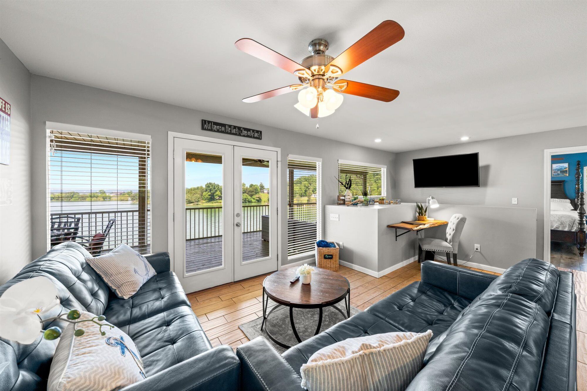 Smart TV, fireplace, DVD player, books