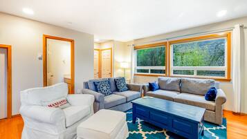 テレビ、暖炉、DVD プレーヤー、ビデオライブラリ