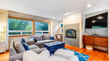 テレビ、暖炉、DVD プレーヤー、ビデオライブラリ