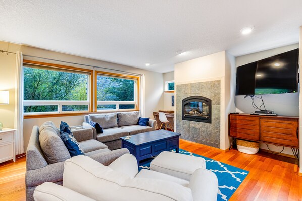 TV, fireplace, DVD player, video library