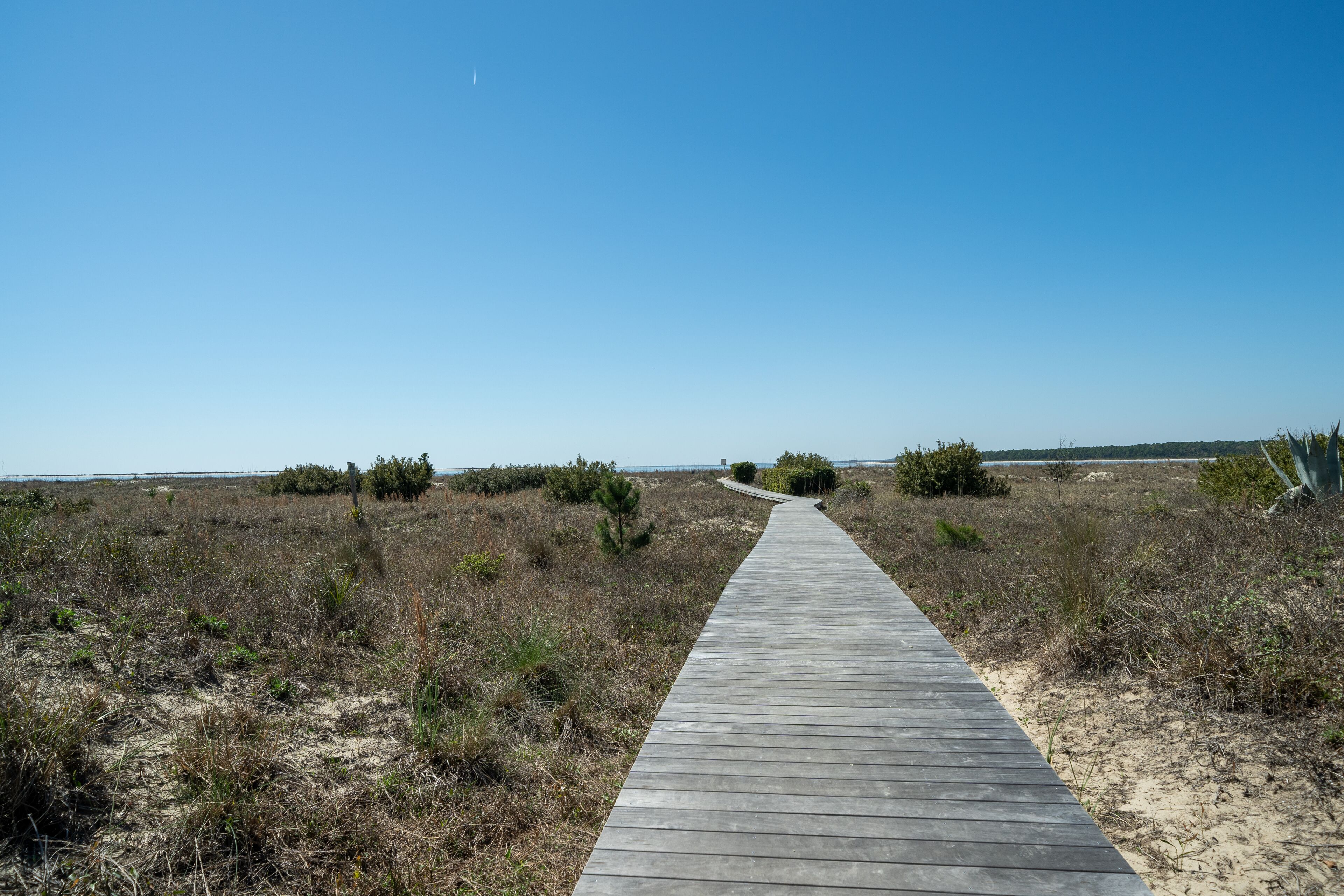 Une promenade en bois traverse un paysage naturel où la végétation est clairsemée et le ciel est dégagé.