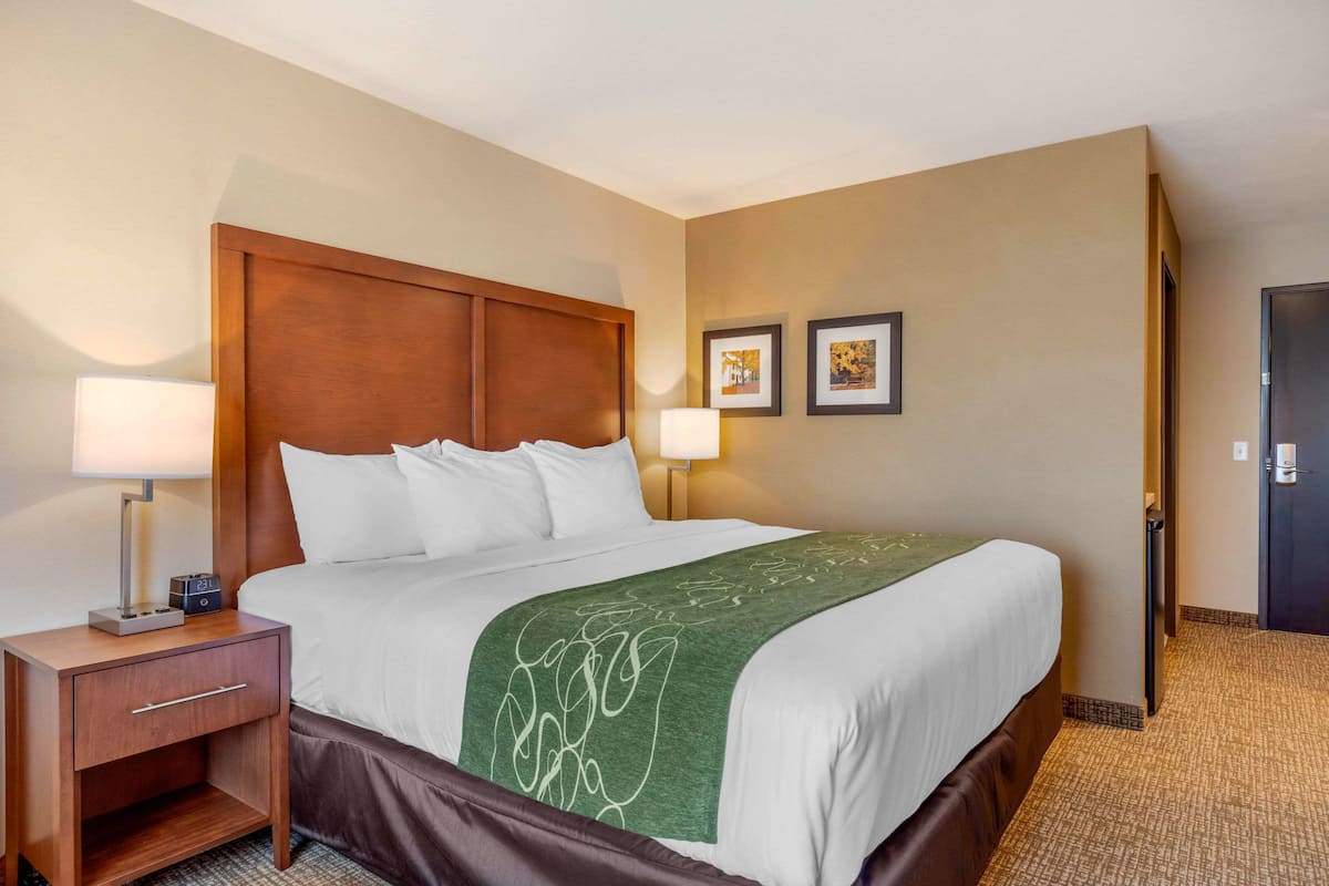 Standard Room, 1 King Bed, Non Smoking | In-room safe, desk, blackout drapes, iron/ironing board