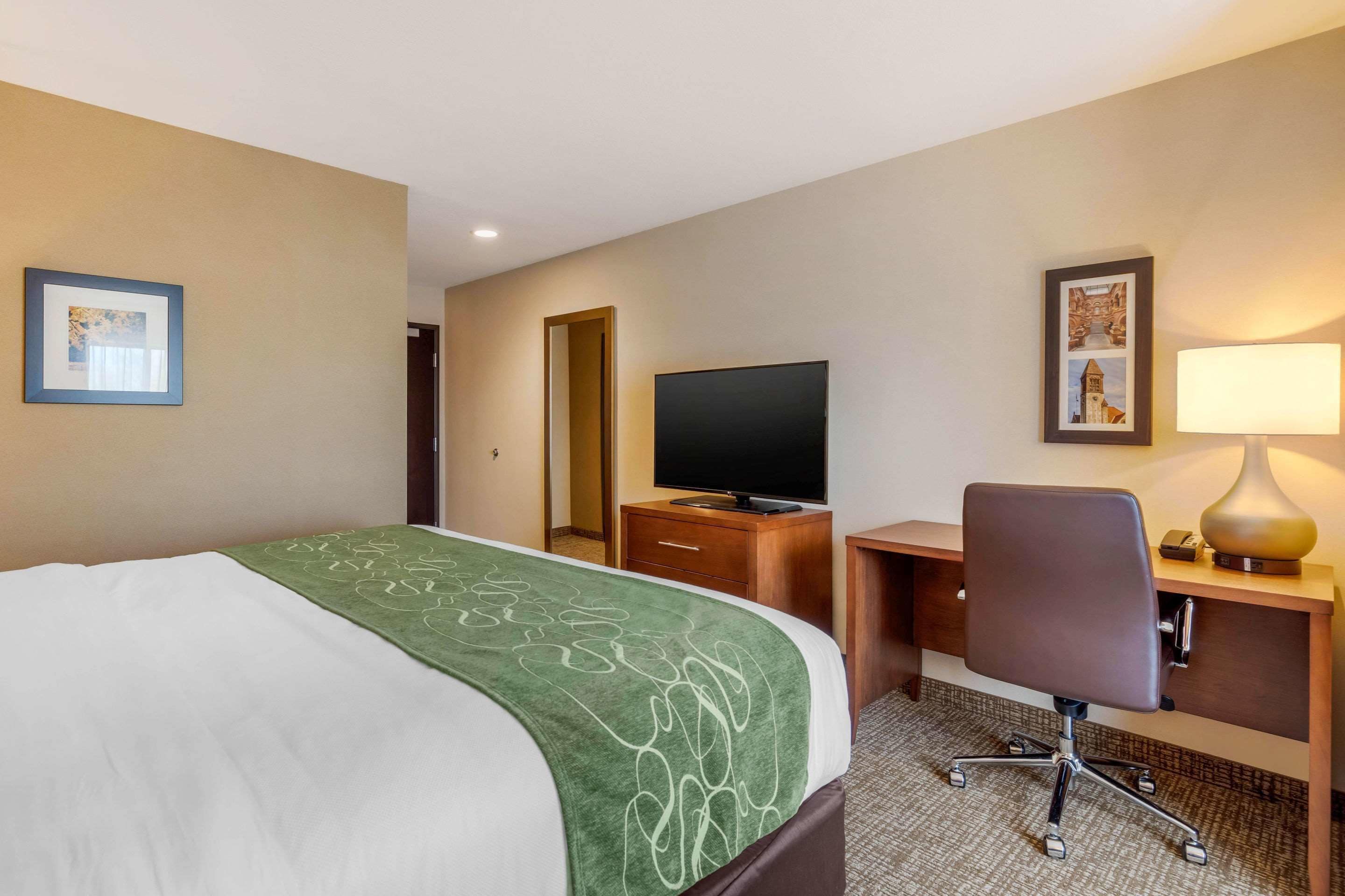 A hotel room with a bed, a desk, a chair, a television, a lamp, and a framed picture on the wall.