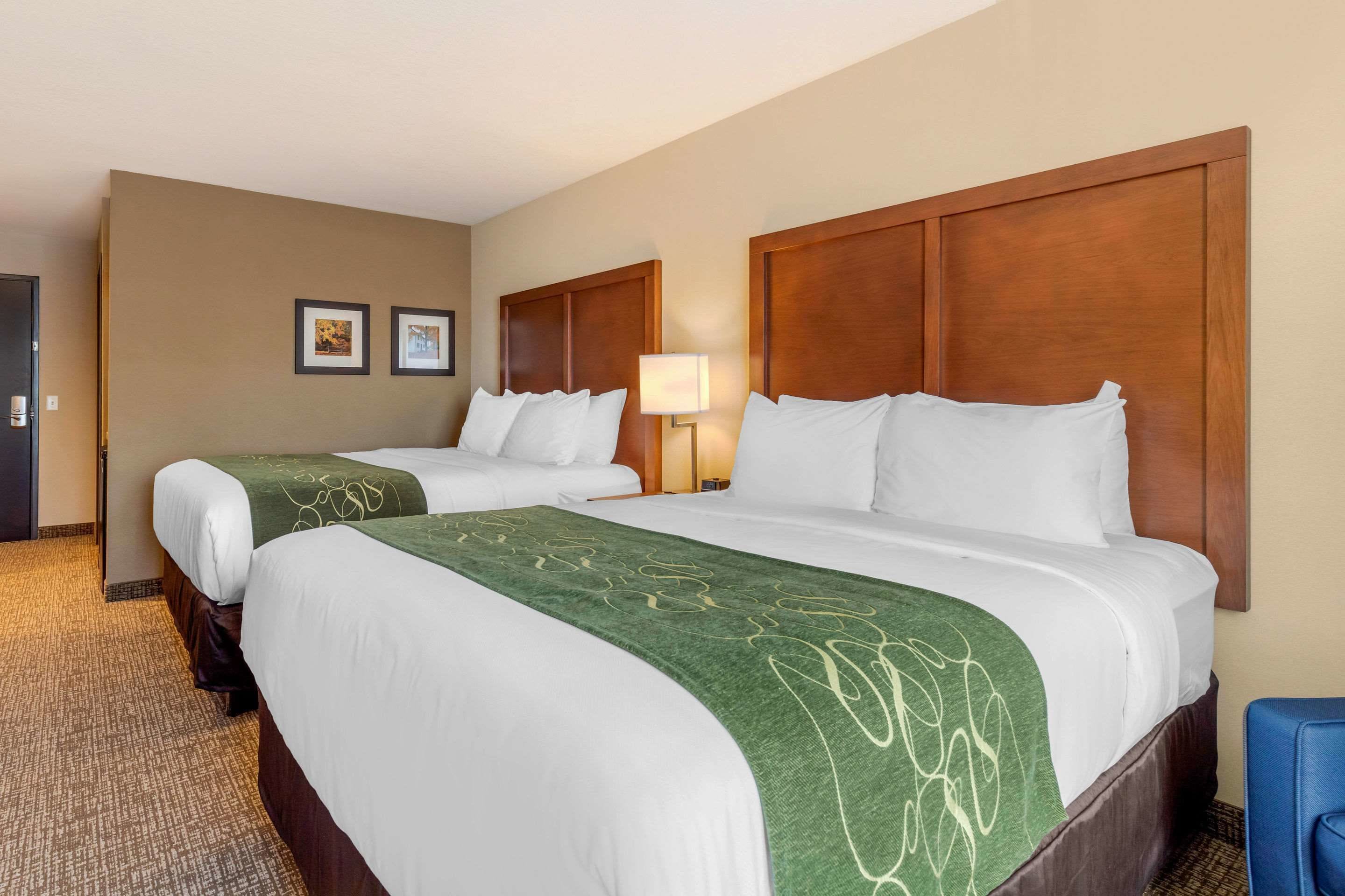 Une chambre d’hôtel avec deux lits, une tête de lit en bois, un plaid vert et une lampe.